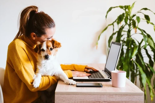 Happy dog with insurance protection